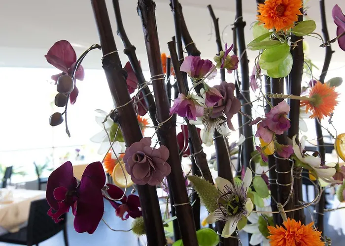 Stella Sa Ξενοδοχείο 3*